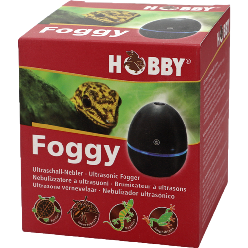 HOBBY Foggy 