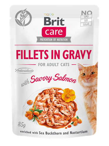 24x Brit Care Fillets in Gravy 85 g - Salmon 