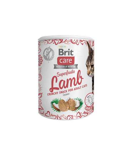 Brit Care Superfruits 100 g - Lamb 