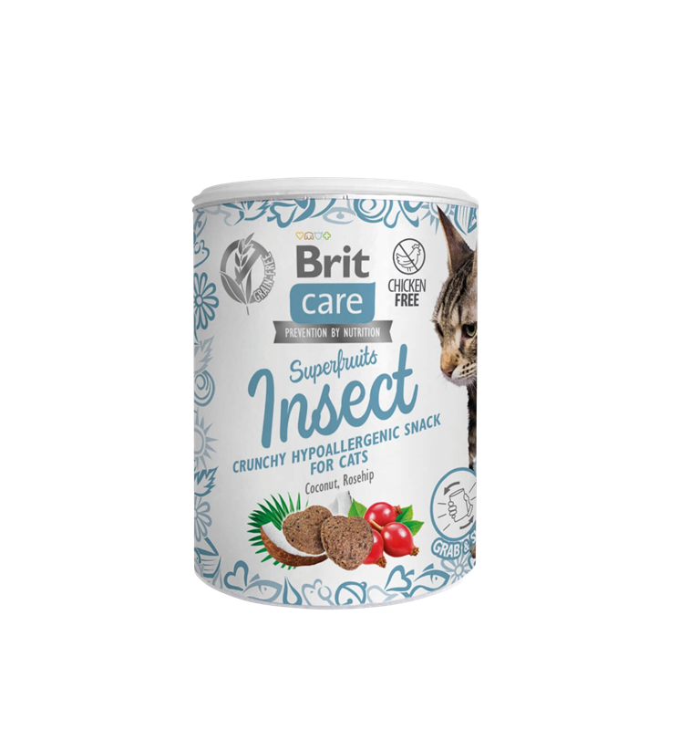 Brit Care Superfruits 100 g - Insect 