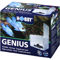 HOBBY Genius Fischfalle 