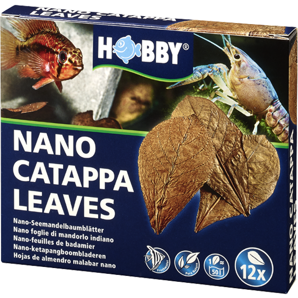 HOBBY Nano Catappa Leaves - 12 Stück 