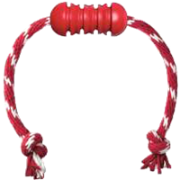 KONG Dental mit Seil - rot