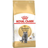 ROYAL CANIN British Shorthair