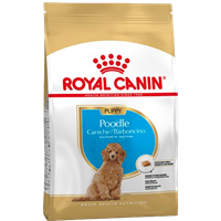ROYAL CANIN Poodle Puppy - 3kg 