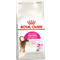 ROYAL CANIN Exigent 33 Aromatic Attraction - 4 kg 
