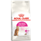 ROYAL CANIN Exigent 42 Protein Preference - 2 kg 