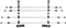TRIXIE Auto-Gitter - Breite: 105 bis 172 cm / Höhe: 46 bis 60 cm 