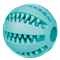 TRIXIE Denta Fun Ball Minzgeschmack - 6 cm 