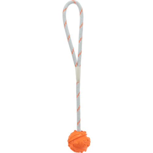 TRIXIE Aqua Toy Ball am Seil - 4,5 x 35 cm 