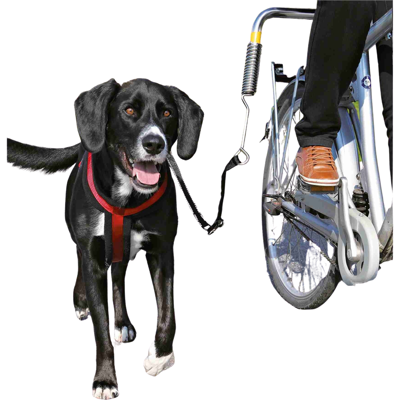 TRIXIE Biker-Set für kleine bis mittelgroße Hunde 