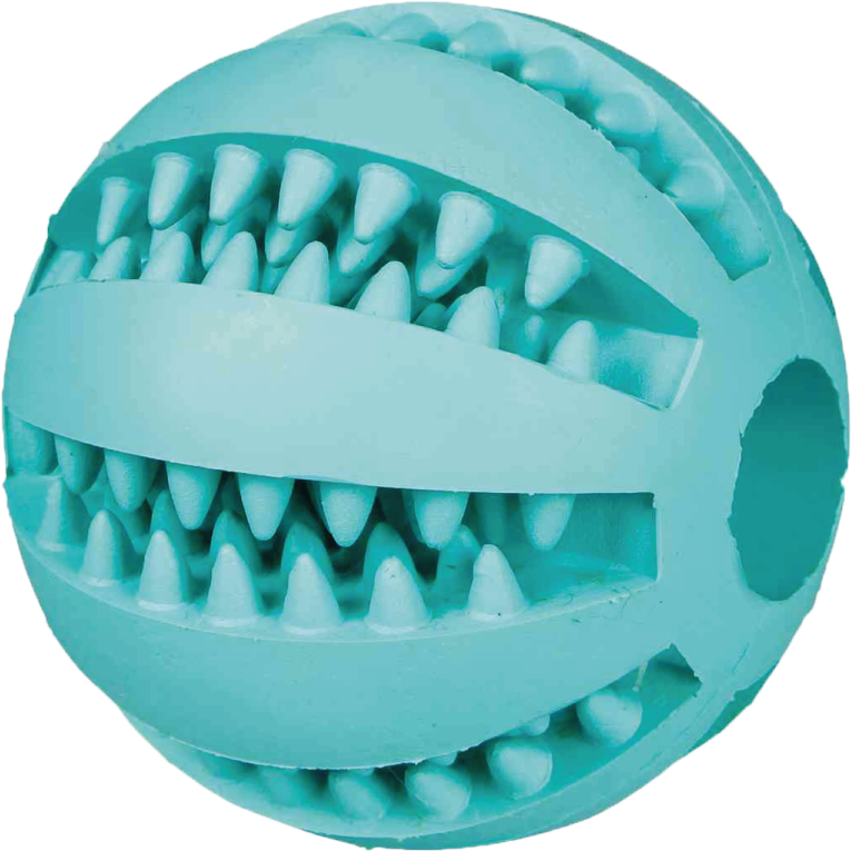 TRIXIE Denta Fun Ball Minzgeschmack - 5 cm 