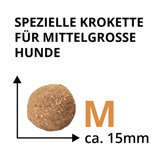 Wildsterne Breed Selection - Adult M - 2,5 kg 
