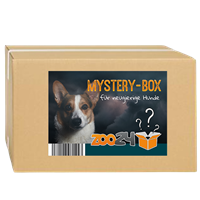 zoo24 Mystery-Box Hund 