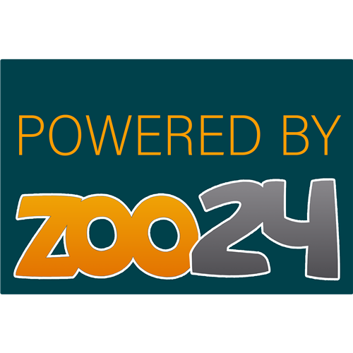 zoo24 Mystery Box Katze 