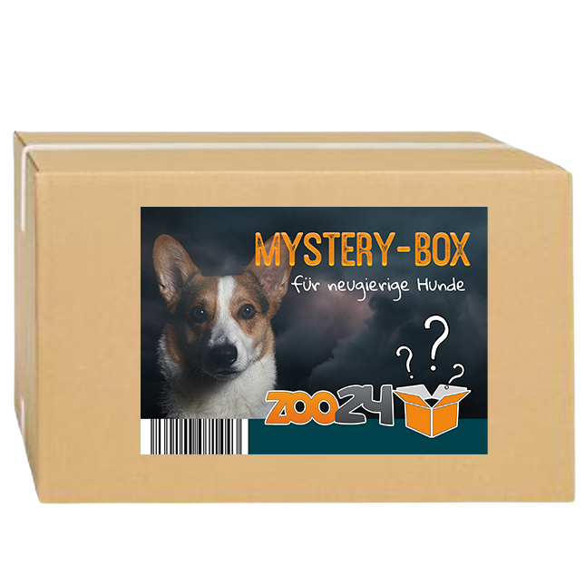 zoo24 Mystery-Box Hund 